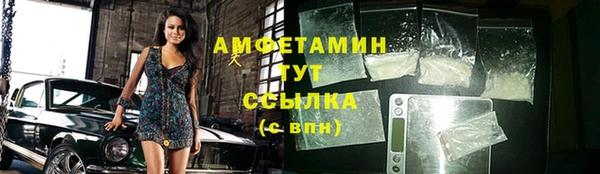 гидра Алексеевка
