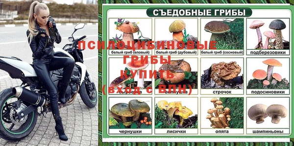 гидра Алексеевка