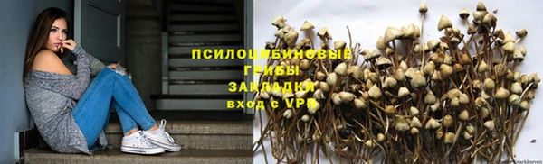 Альфа ПВП Алзамай