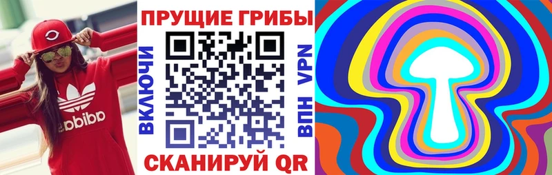 даркнет сайт  Бирюсинск  Галлюциногенные грибы Cubensis 